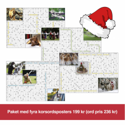 Jättepaket korsordsposters
